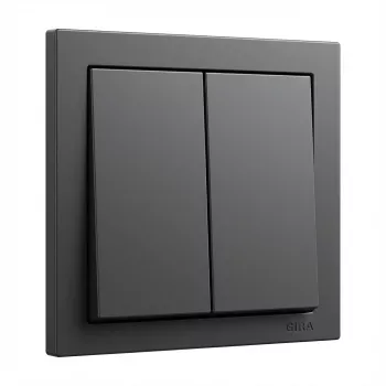 Placca a bilanciere GIRA System 55 2 moduli bilanciere antracite (modello 329528)