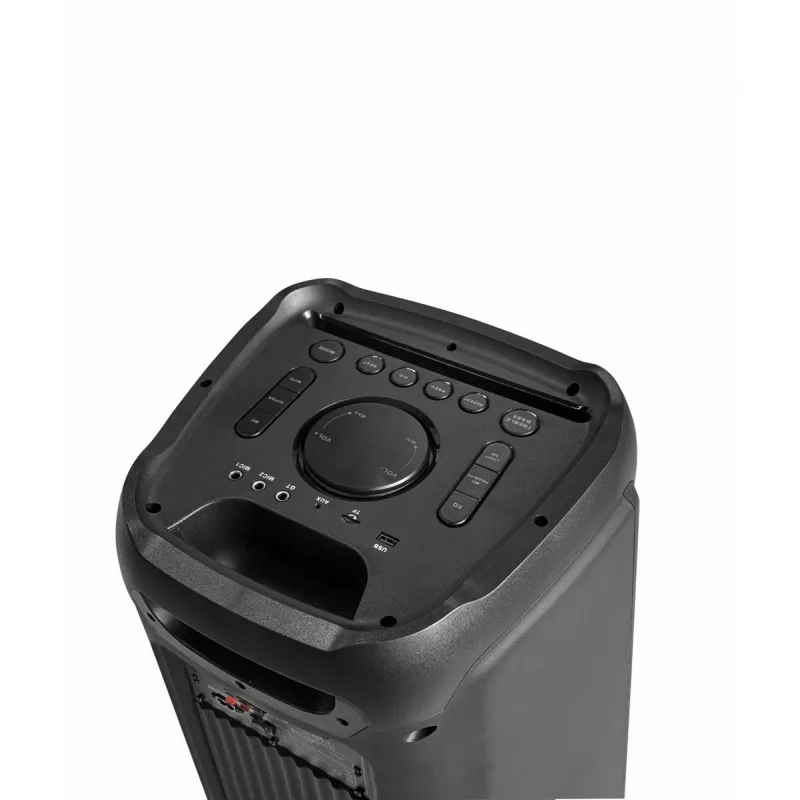 Sistema karaoke Blaupunkt PB10DB 1000W microfono con filo indicatore LED