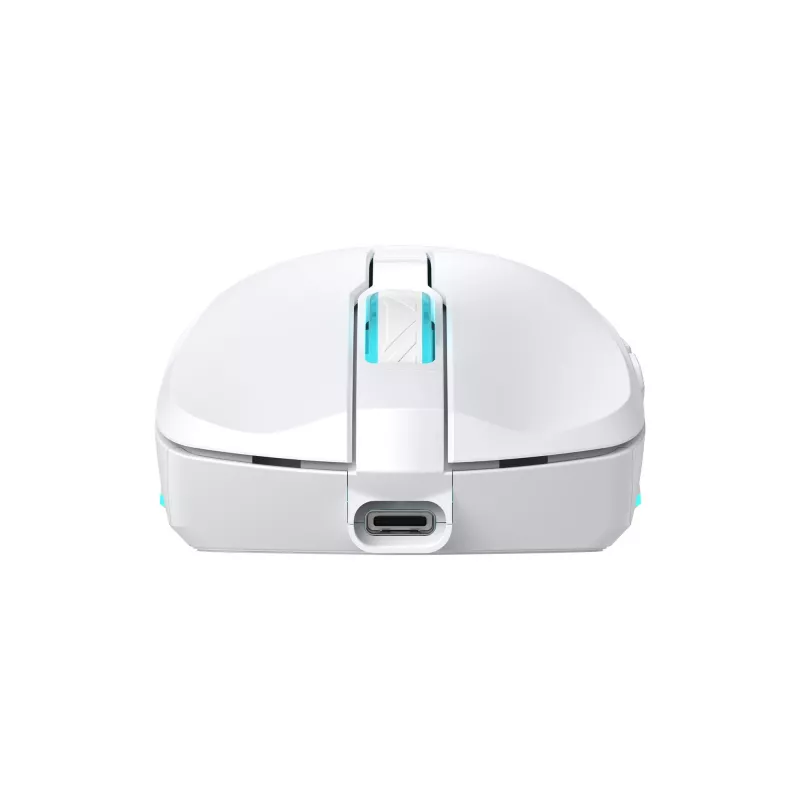 Mouse Baracuda BGM-122 Turtle bianco TURTLE-W