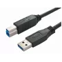 Cavo USB Bachmann 917.1205 USB 3.2 Gen 1 1 m USB-A USB-B nero