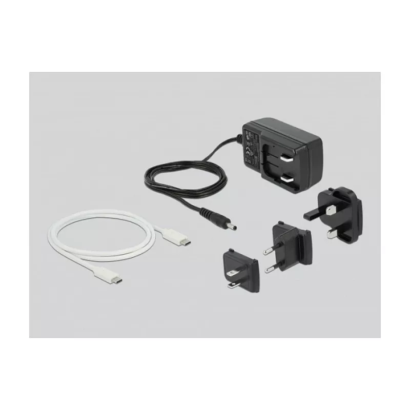 Docking station DeLOCK USB Type-C™ 3.2 per 2 x dischi/SSD SATA da 2,5 pollici