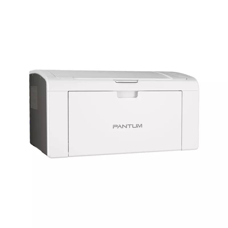 Stampante Pantum P2509W Laser bianca