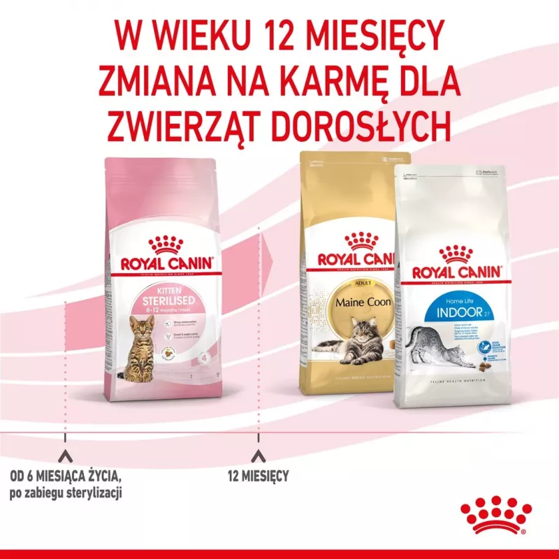 Royal Canin Kitten Sterilised cibo secco per gatti 3,5 kg pollame