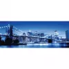 Puzzle Panorama - New York luminosa (1000 pezzi)