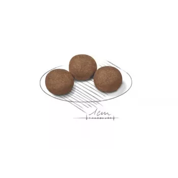 Royal Canin Medium Puppy alimento secco per cuccioli 15 kg