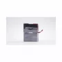 Eaton EB010SP batteria UPS, piombo-acido 6 V 9 Ah 2 pezzi