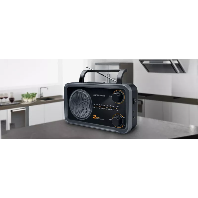 Muse | Radio portatile 2 bande | M-06DS | ingresso AUX | grigio