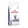 Royal Canin Dental crocchette per gatti, 1,5 kg