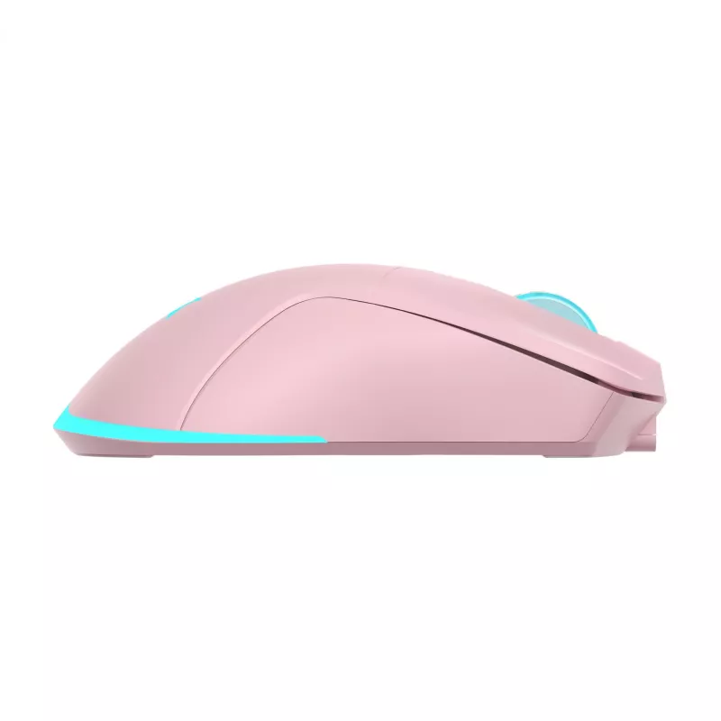 Mouse Baracuda BGM-124 Turtle rosa TURTLE-P