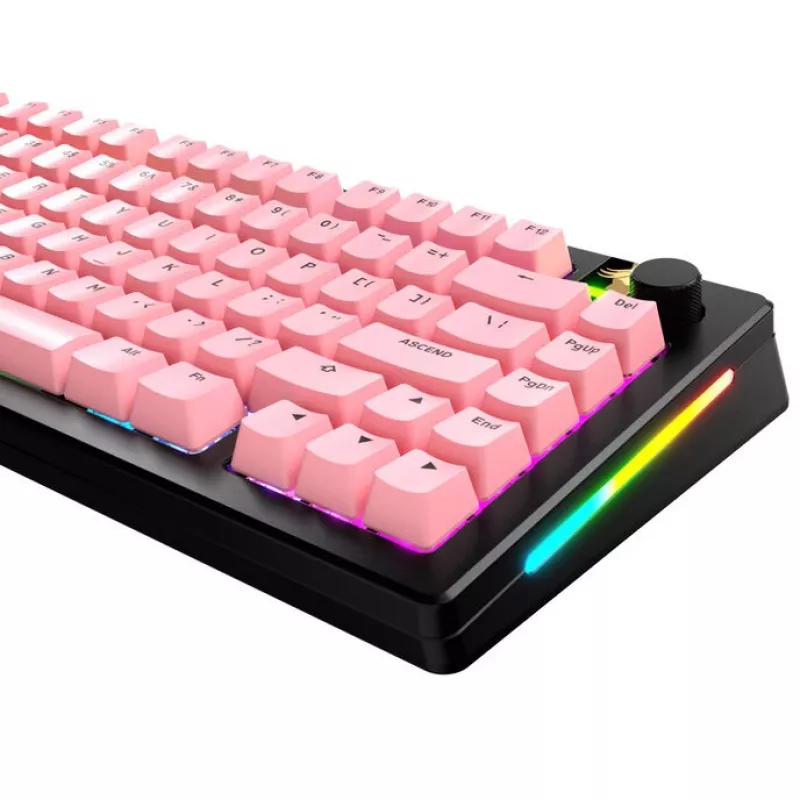 Set di keycap per tastiera meccanica GLORIOUS GPBT Basics ANSI PBT Potion P — layout ANSI, materiale PBT