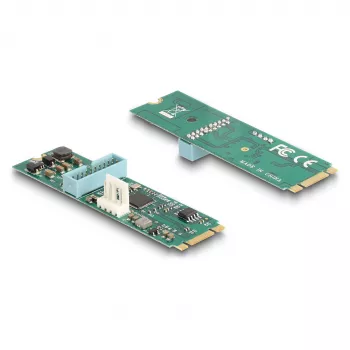 DeLOCK schede/adattatori di interfaccia 61065 interno USB 3.2 Gen 1 M.2 connettore maschio