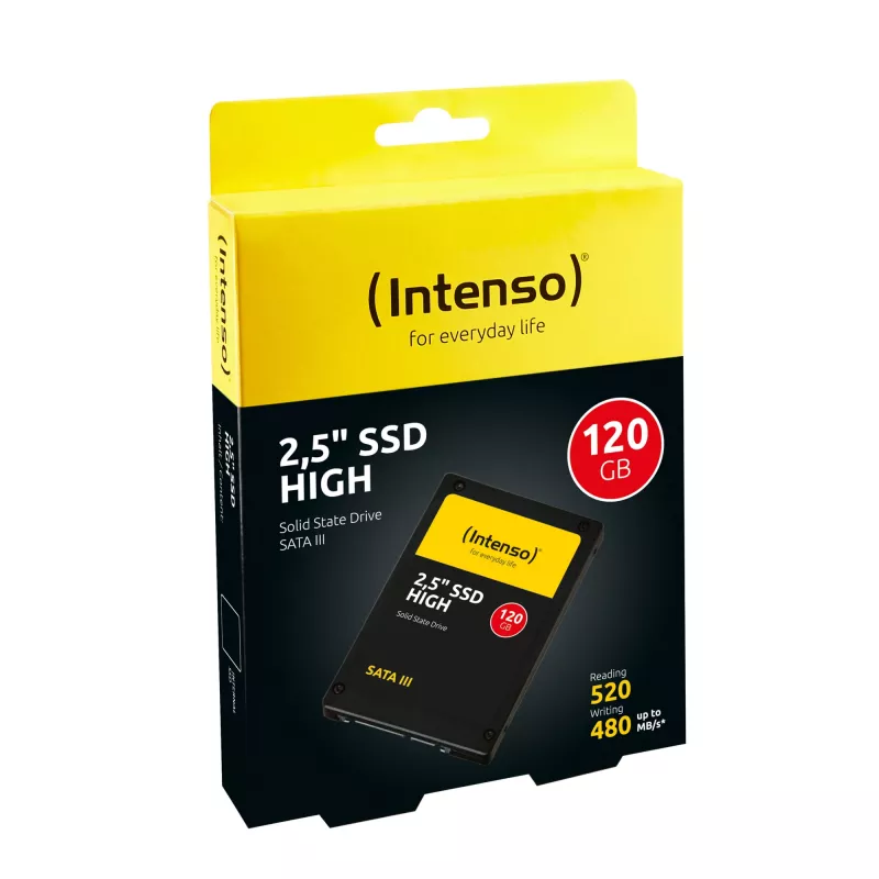 SSD INTENSO 120GB 2,5 pollici SATA 3.0 3813430