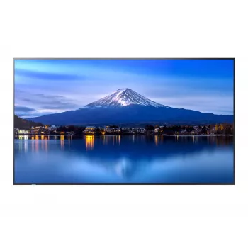 Display grande formato SHARP NEC P506 50 pollici P-Serie UHD