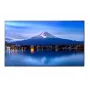 Display grande formato SHARP NEC P506 50 pollici P-Serie UHD