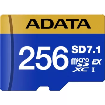 ADATA UD256GEX3L1-C scheda di memoria 256 GB MicroSDXC UHS-II
