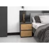 Topeshop W2 ANTRACYT/ARTISAN comodino 2 cassetti antracite, rovere