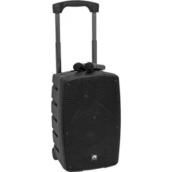 Diffusore PA attivo Omnitronic WAMS-12BT2 12