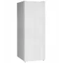 Congelatore a cassetti Ravanson ZM-150 — a libera installazione 156 l, 6 cassetti, R600a, 41 dB, classe E