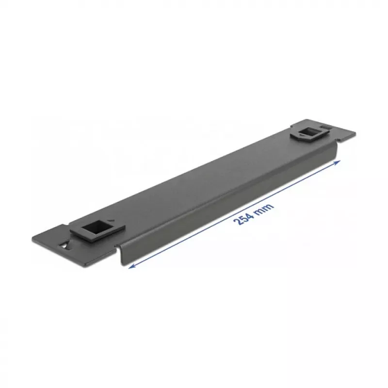 Pannello cieco DeLOCK armadio di rete 10 pollici 66576