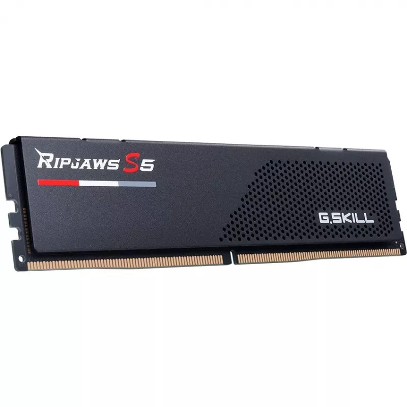 G.skill F5-6400J3239F24GX2-RS5K Modulo di memoria
