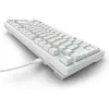 Sharkoon SGK25 75% QWERTZ USB Tastiera cablata RGB LED bianco