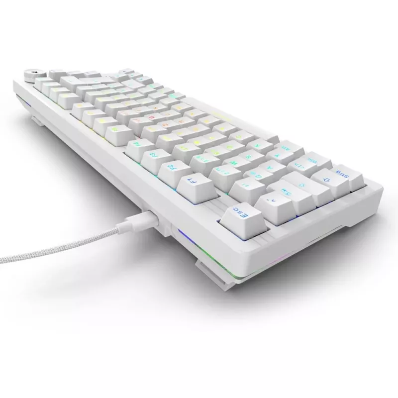 Sharkoon SGK25 75% QWERTZ USB Tastiera cablata RGB LED bianco