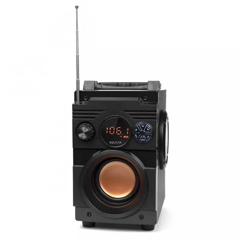 Squeak Bassblaster altoparlante Bluetooth 5.1, radio FM, lettore MP3 SQ1001