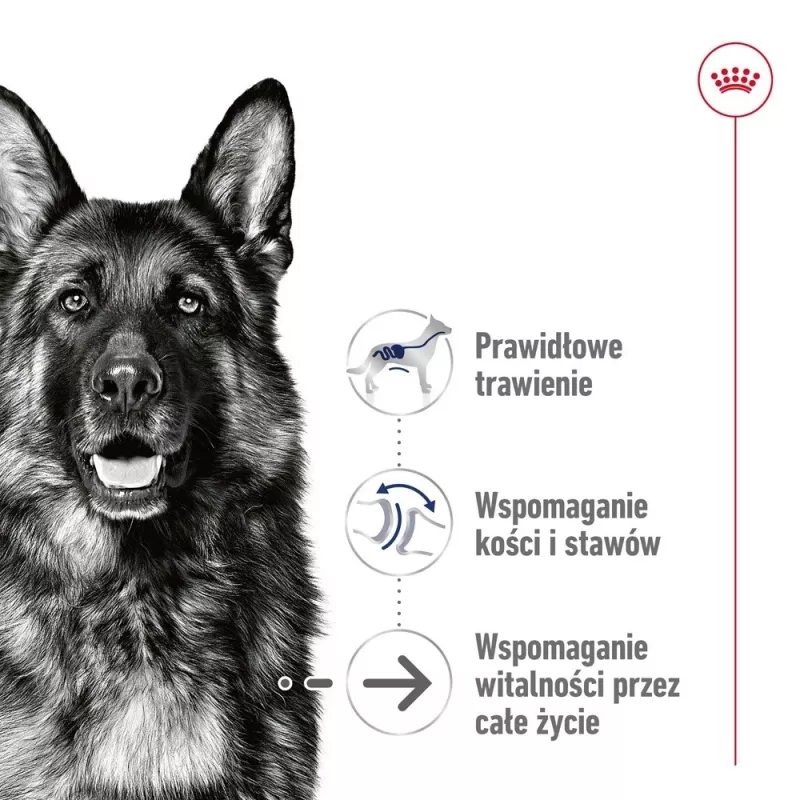 ROYAL CANIN SHN Maxi Ageing Loaf scatoletta 410 g