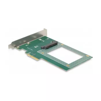 Scheda PCI Express x4 DeLOCK a 1 x interna U.2 NVMe SFF-8639