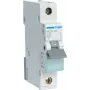 Hager MCN140. Corrente nominale: 40 A. Tipo: caratteristica C, numero di moduli (max.): 1 modulo. Larghezza: 17,5 mm, profondità: 70 mm, altezza: 83 mm (MCN140)
