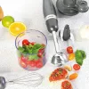 Frullatore a immersione Salter EK2827COSVDEEU10