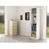 Libreria per ufficio Topeshop R50 BIEL 5 ripiani bianco