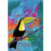 Puzzle Ravensburger Puzzle Moment — Magic Toucan, 300 pezzi, adulti/esperti