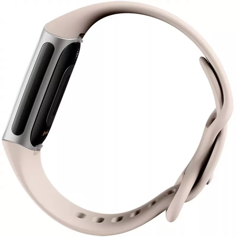 Fitbit GA05185-EU Prodotto argento