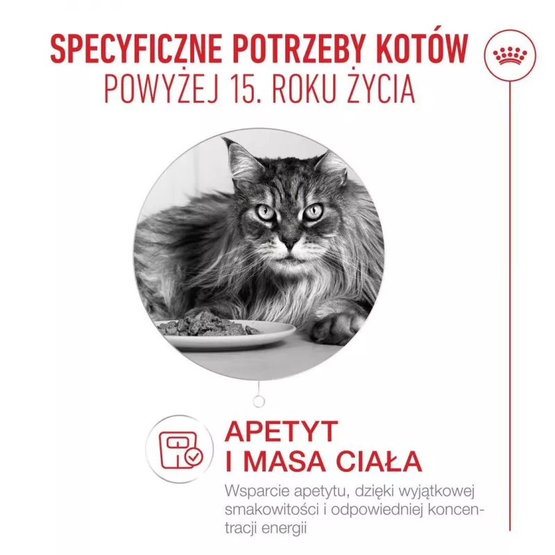 ROYAL CANIN Ageing 15+ crocchette per gatti – 4 kg