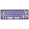 White Shark Purplepulse interruttori meccanici 65 pz.