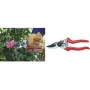 Cesoia da giardino a bypass C.K Tools G5631 215 mm – lunghezza di taglio 215 mm, lame a bypass