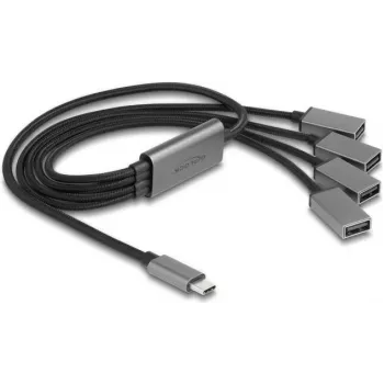 DeLOCK 64210 hub USB 2.0 Type-C 480 Mbit/s nero grigio