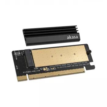 Scheda di interfaccia Akasa AK-PCCM2P-05