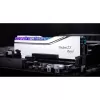 DIMM 32 GB DDR5-6000, memoria RAM argento, F5-6000J2836G16GX2-TR5S, Trident Z5 Royal RGB Silver, INTEL XMP