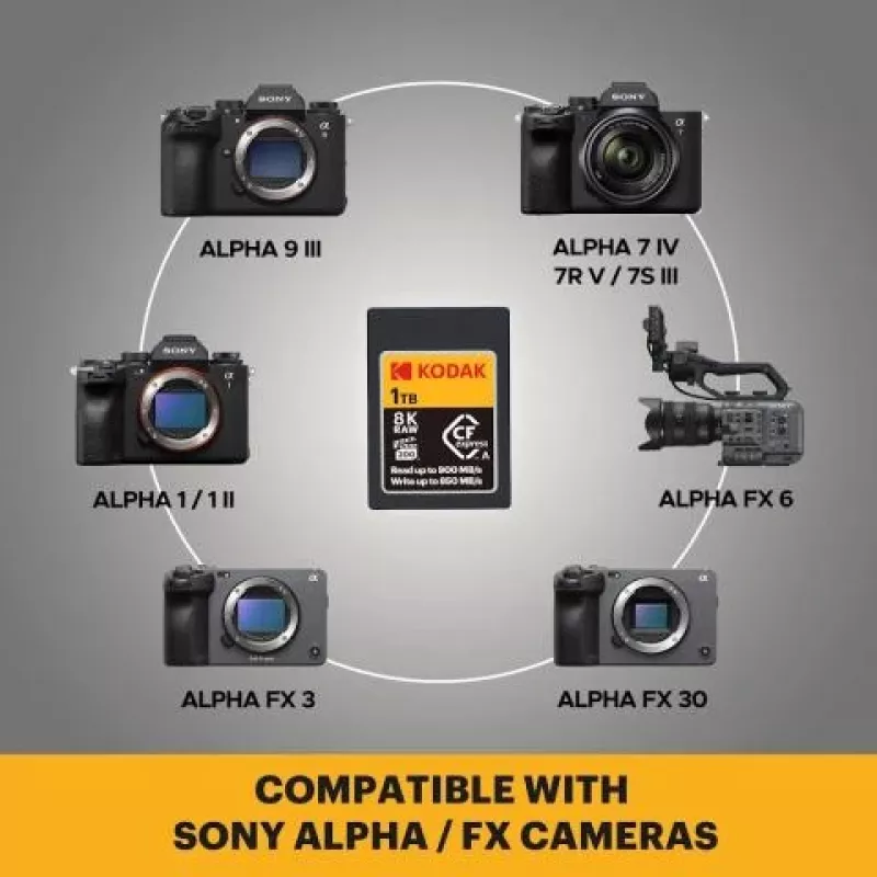 Scheda di memoria CFexpress tipo A Kodak EKMCFXA480GK 480GB