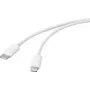 Basetech cavo USB USB 2.0 connettore maschio USB-C®, connettore maschio Apple Lightning 1,00 m bianco BT-2347613