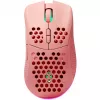 Mouse Deltaco GAM-120-P