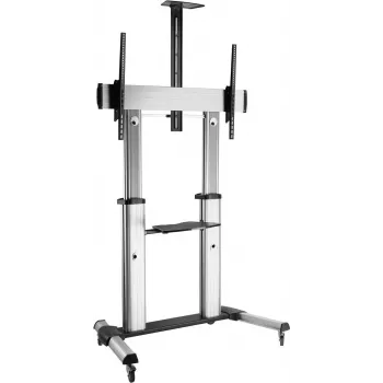 ROLINE Supporto per display LCD - argento - dimensione schermo: 152,4-254 cm (60-100)