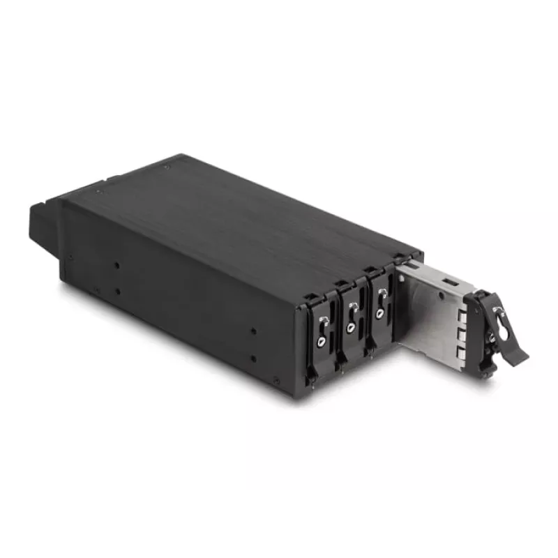 Alloggiamento HDD DeLOCK 47126 compatibile rack metallo larghezza 72mm