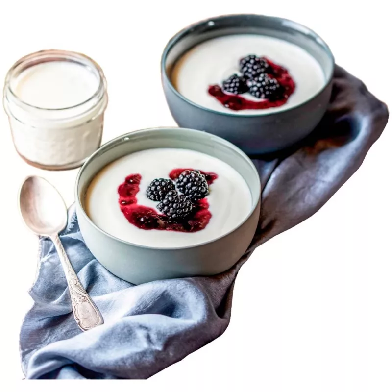 Rommelsbacher JG 80 yogurtiera 1,2 l quark - yogurt 20 W (JG80)
