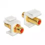 Modulo Keystone DeLOCK 86308