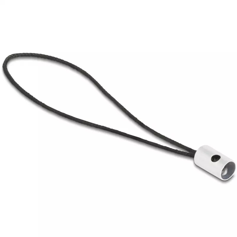 Adattatore cavo DeLOCK 60688 USB 2.0 Type-C a 8-Pin Lightning antracite