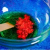 Kit scientifico Liscianigiochi Crazy Science Slime Camaleonte 304-PL89246 – set didattico di esperimenti con lo slime