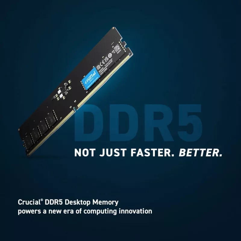 Crucial Pro - DDR5 - modulo - 16 GB - DIMM 288-PIN Low Profile